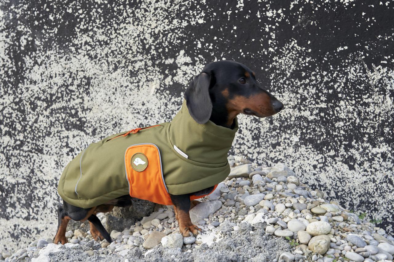 Manteau d'hiver pour chien Oskar en olive