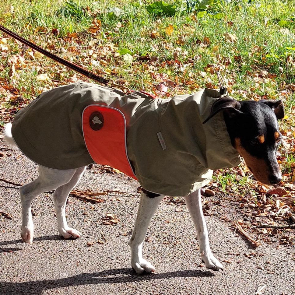 Hunde Regenmantel 