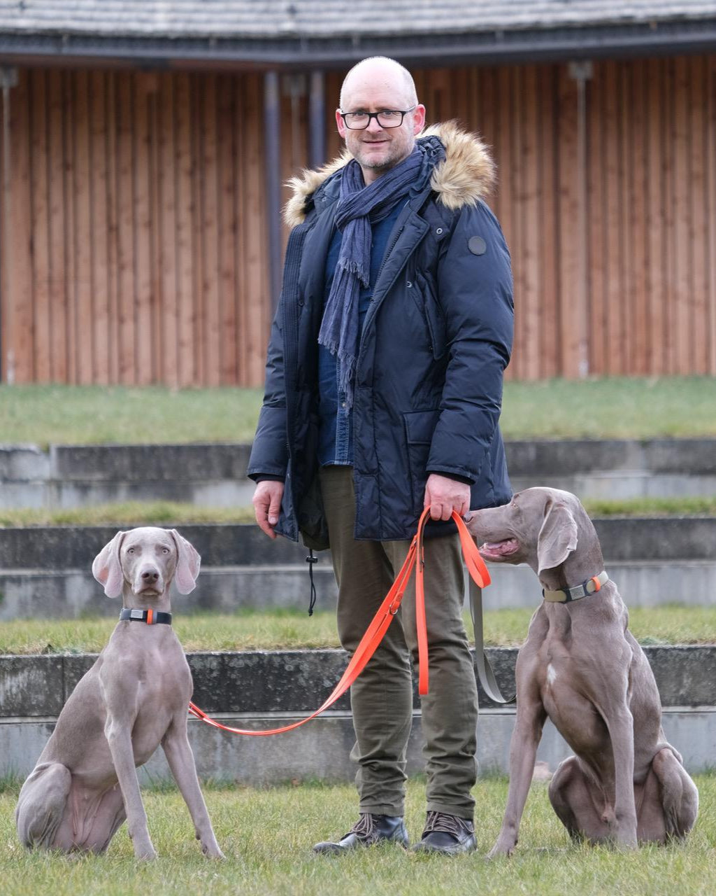 Hundemantel Weimaraner